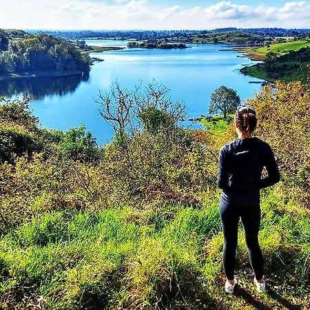 Appartement The Quigley Limerick Junction