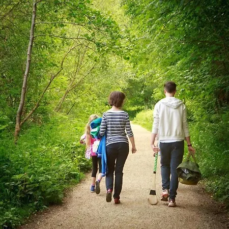 The Quigley * Limerick Junction