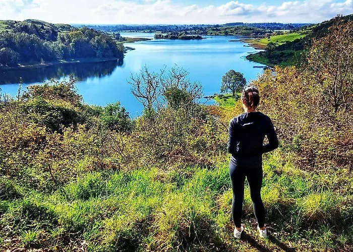 Apartment The Quigley Limerick