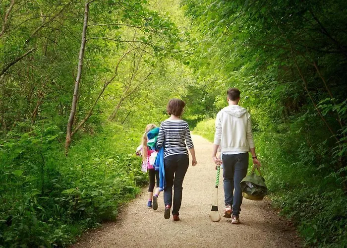 The Quigley * Limerick Junction